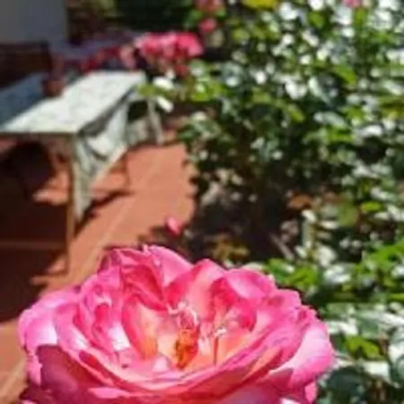 Pusiano 빌라